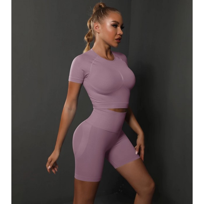 Безшовний жіночий фітнес комплект Crop T-Shirt+Tracks Push Up 24 (Rosy pink) Безшовний жіночий фітнес комплект Crop T-Shirt+Tracks Push Up 24 (Rosy pink)
